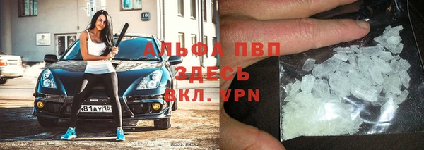 спиды Алзамай