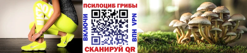 kraken вход  дарк нет формула  Псилоцибиновые грибы Cubensis  Магадан 